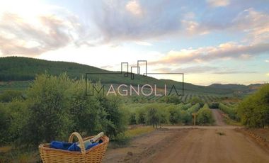 Parcela en Venta en Parcela en Fundo Los Olivos de Quepo