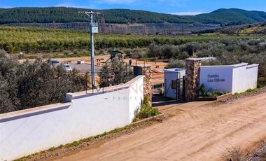 Parcela en Venta en Parcela en Fundo Los Olivos de Quepo