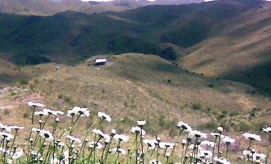 Venta 8 hectáreas – Estancia Grande – R. Villorco – San Luis
