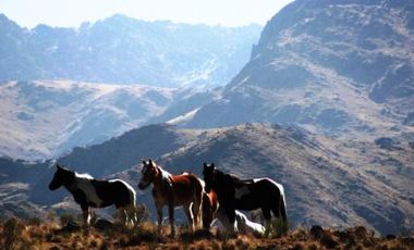 Venta 8 hectáreas – Estancia Grande – R. Villorco – San Luis