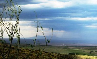 Venta 8 hectáreas – Estancia Grande – R. Villorco – San Luis