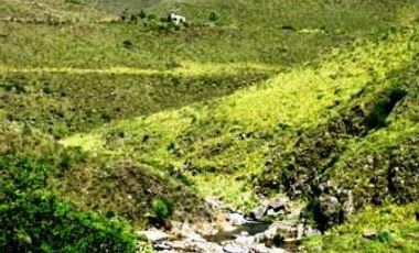 Venta 8 hectáreas – Estancia Grande – R. Villorco – San Luis