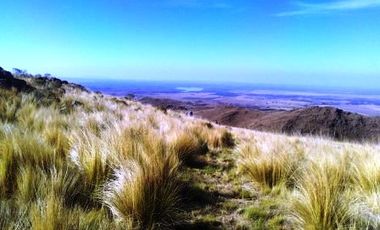 Venta 8 hectáreas – Estancia Grande – R. Villorco – San Luis