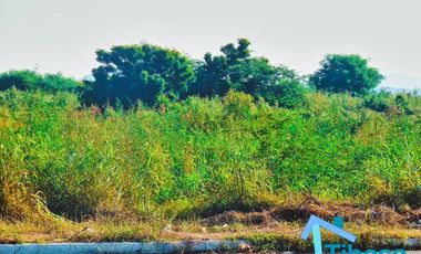 Terrenos en venta en Mazatlán | Avenida Pérez Escobosa | Encuentra el terreno perfecto para tu proyecto