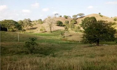 VENTA DE FINCA DESPUÉS DEL KM 15, MONTERIA