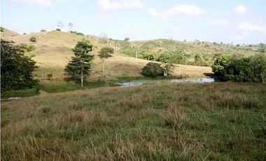 VENTA DE FINCA DESPUÉS DEL KM 15, MONTERIA