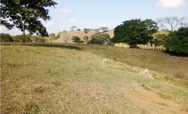 VENTA DE FINCA DESPUÉS DEL KM 15, MONTERIA