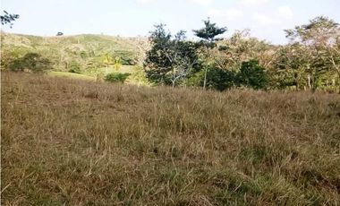 VENTA DE FINCA DESPUÉS DEL KM 15, MONTERIA