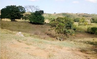 VENTA DE FINCA DESPUÉS DEL KM 15, MONTERIA
