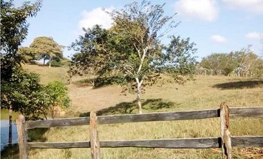 VENTA DE FINCA DESPUÉS DEL KM 15, MONTERIA