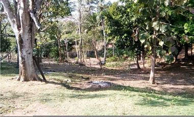 VENTA DE FINCA DESPUÉS DEL KM 15, MONTERIA