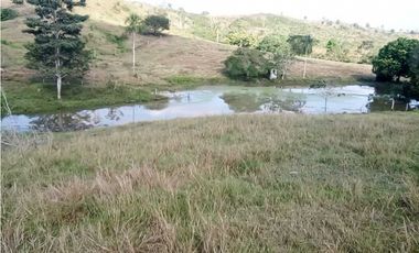 VENTA DE FINCA DESPUÉS DEL KM 15, MONTERIA