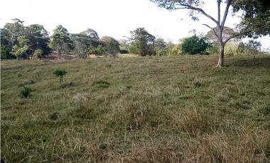 VENTA DE FINCA DESPUÉS DEL KM 15, MONTERIA