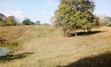 VENTA DE FINCA DESPUÉS DEL KM 15, MONTERIA