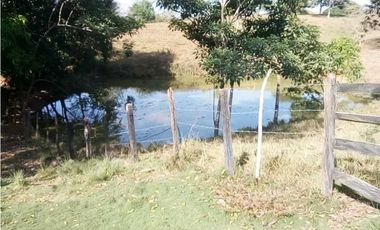 VENTA DE FINCA DESPUÉS DEL KM 15, MONTERIA