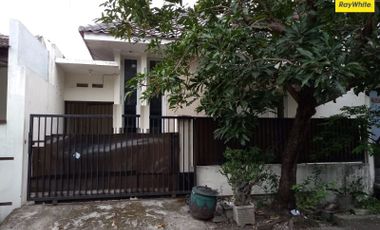 Disewakan Rumah Siap Huni Lokasi di Babatan Indah, Surabaya