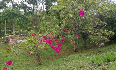 Maat vende Finca en Villeta 1.972m2 $320 Millones