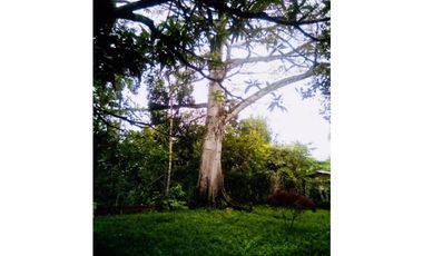 Maat vende Finca en Villeta 1.972m2 $320 Millones