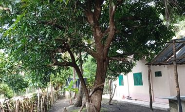 casa campestre en venta en san bernardo del viento. Cod V219