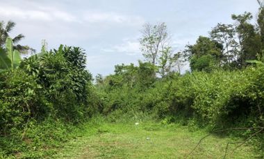 Tanah Murah Pertengahan Lembang Subang Dkt Sagalaherang