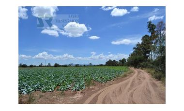 Terreno para desarrollo Industrial o habitacional en San Luis Potosi, Jaralito