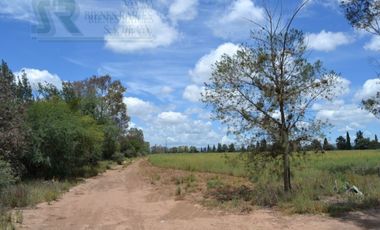 Terreno para desarrollo Industrial o habitacional en San Luis Potosi, Jaralito