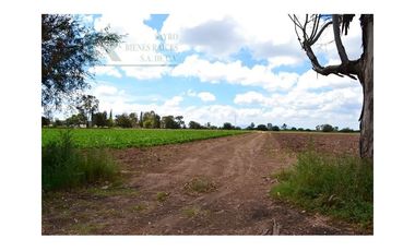 Terreno para desarrollo Industrial o habitacional en San Luis Potosi, Jaralito