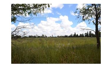 Terreno para desarrollo Industrial o habitacional en San Luis Potosi, Jaralito
