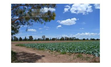 Terreno para desarrollo Industrial o habitacional en San Luis Potosi, Jaralito