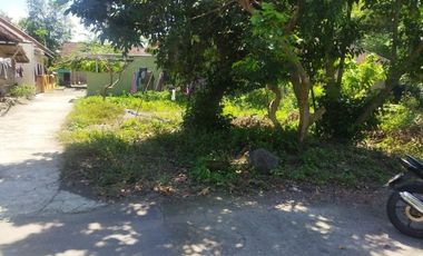 DIJUAL CEPAT RUMAH 300JTAN DI BERBAH SLEMAN JOGJA