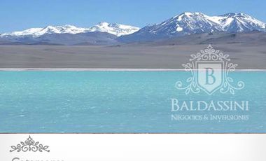 CAMPO DE 520.000 HECTÁREAS EN CATAMARCA CON MINERÍA Y  POSIBILIDADDEAGRICULTURA/GANADERÍA / CON ESCRITURAS PERFECTAS /