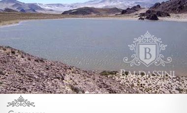 CAMPO DE 520.000 HECTÁREAS EN CATAMARCA CON MINERÍA Y  POSIBILIDADDEAGRICULTURA/GANADERÍA / CON ESCRITURAS PERFECTAS /