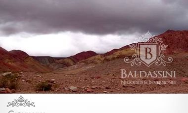 CAMPO DE 520.000 HECTÁREAS EN CATAMARCA CON MINERÍA Y  POSIBILIDADDEAGRICULTURA/GANADERÍA / CON ESCRITURAS PERFECTAS /