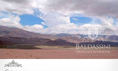 CAMPO DE 520.000 HECTÁREAS EN CATAMARCA CON MINERÍA Y  POSIBILIDADDEAGRICULTURA/GANADERÍA / CON ESCRITURAS PERFECTAS /