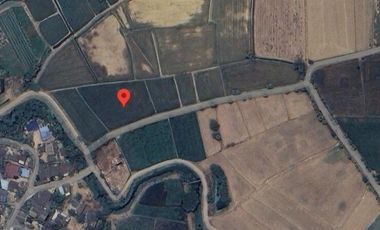Land for sale in Khao Yai, Phetchaburi