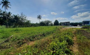 Allocated land divided for sale near Ao Nang