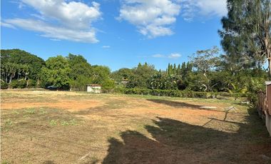 VENTA DE TERRENO CHITRE 3 MIL METROS