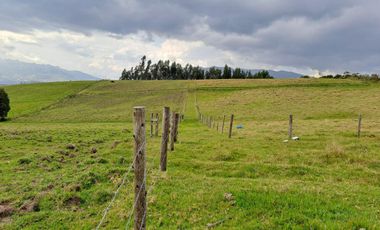 LINDO TERRENO DE 5 HAS EN VENTA SECTOR CARIACU - CAYAMBE