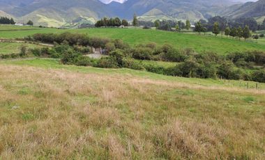 LINDO TERRENO DE 5 HAS EN VENTA SECTOR CARIACU - CAYAMBE