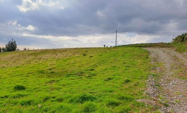 LINDO TERRENO DE 5 HAS EN VENTA SECTOR CARIACU - CAYAMBE