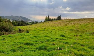 LINDO TERRENO DE 5 HAS EN VENTA SECTOR CARIACU - CAYAMBE