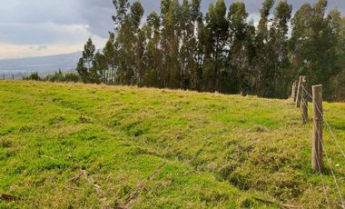 LINDO TERRENO DE 5 HAS EN VENTA SECTOR CARIACU - CAYAMBE