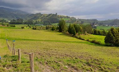 LINDO TERRENO DE 5 HAS EN VENTA SECTOR CARIACU - CAYAMBE