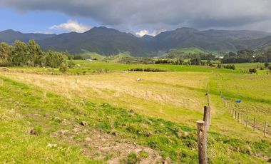 LINDO TERRENO DE 5 HAS EN VENTA SECTOR CARIACU - CAYAMBE