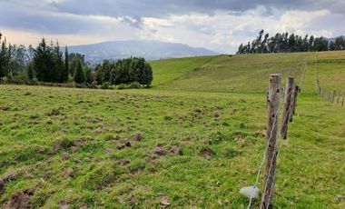 LINDO TERRENO DE 5 HAS EN VENTA SECTOR CARIACU - CAYAMBE