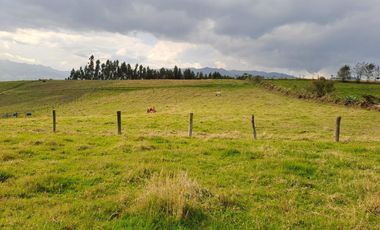 LINDO TERRENO DE 5 HAS EN VENTA SECTOR CARIACU - CAYAMBE