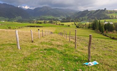 LINDO TERRENO DE 5 HAS EN VENTA SECTOR CARIACU - CAYAMBE