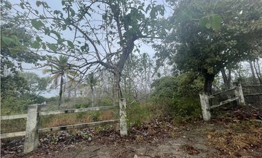 Terreno venta en San Carlos, San Carlos
