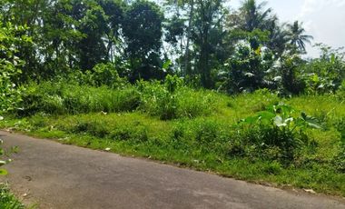 rumah 4 unit dijual mertoyudan asri tanah luas