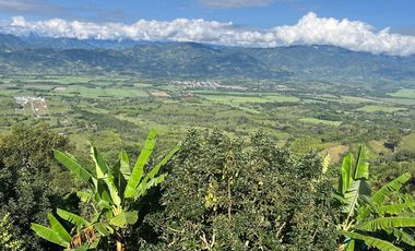 finca en arriendo en vereda morro azul. Cod A7344467